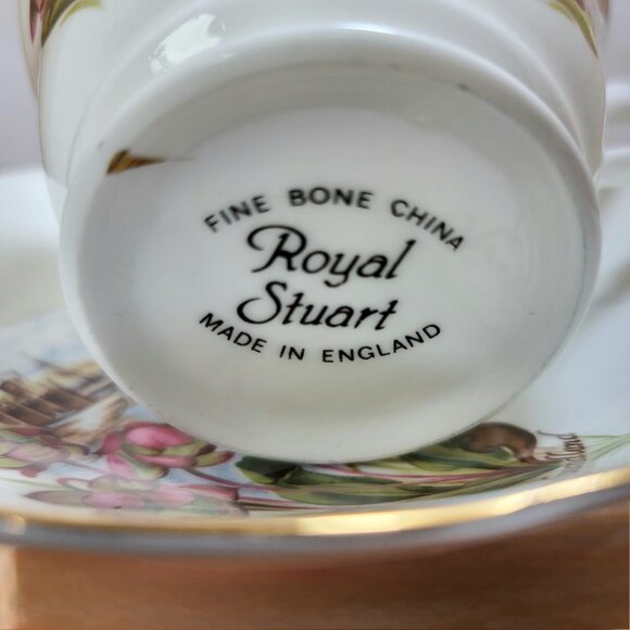 Vintage Royal Stuart Fine Bone China England Teacup and Saucer - Picture 2 of 16
